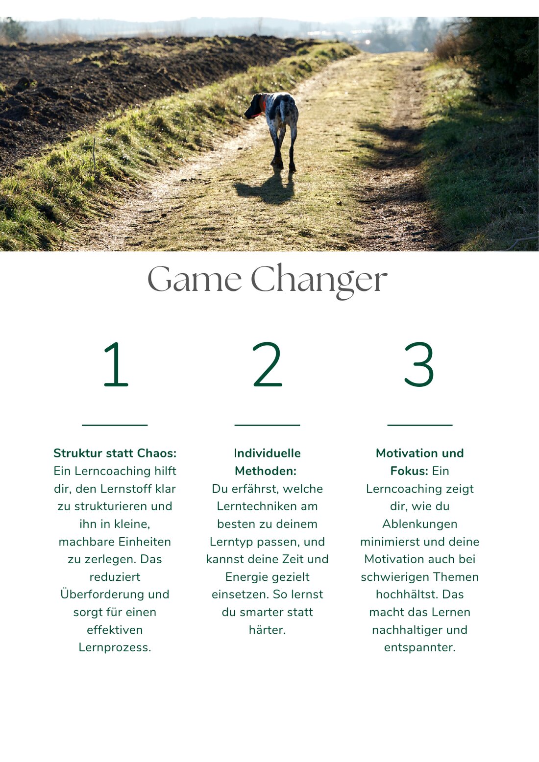 Seite mit dem Game-Changer-Modell in drei Schritten